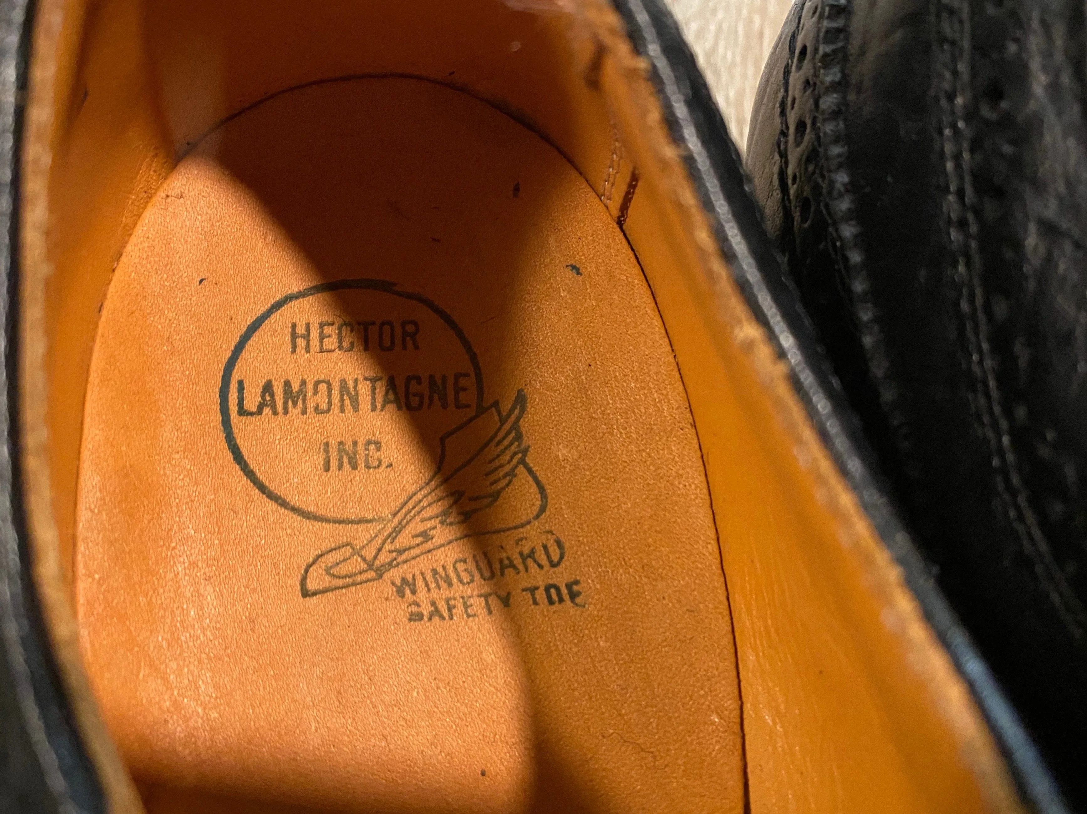 Wingtip Brogue Hector La Montagne Protective Derby Shoe 7M 39/40 (Canada)